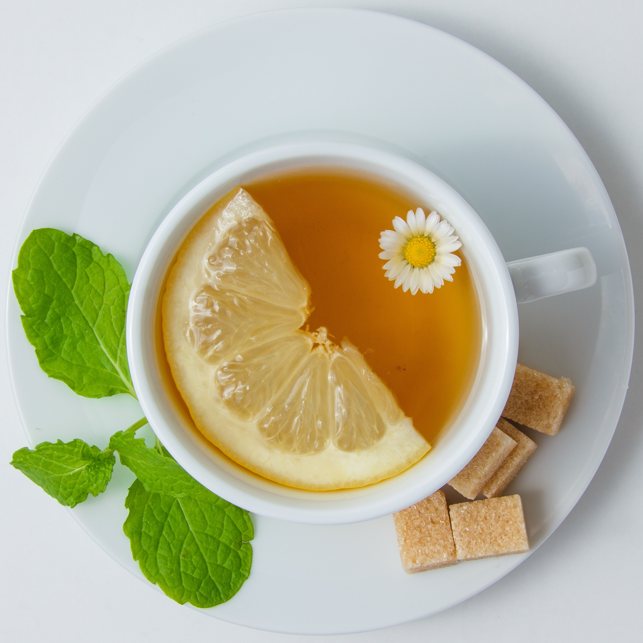 Tangy Yuzu Sencha Green Tea 🇯🇵